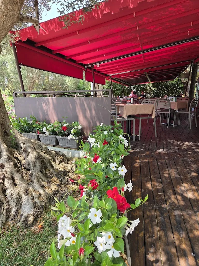 Gordon Walker_Piadineria Delizie del castello_Gradara_review