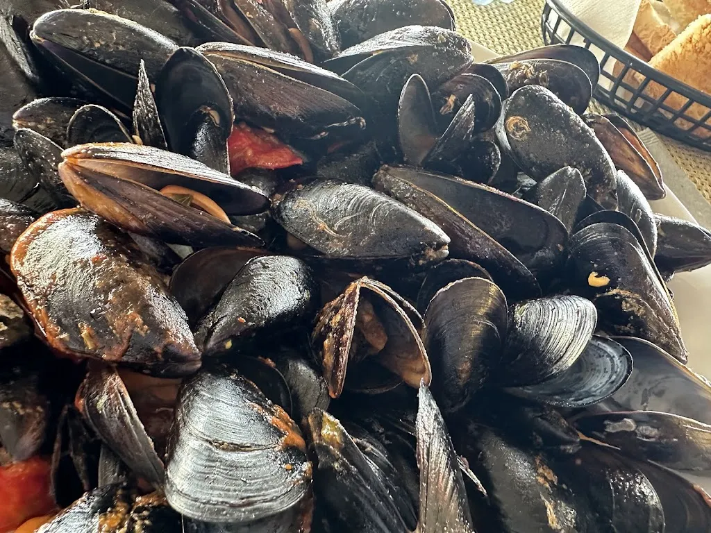 Tin bota_Gabicce Mare_slider_image_3