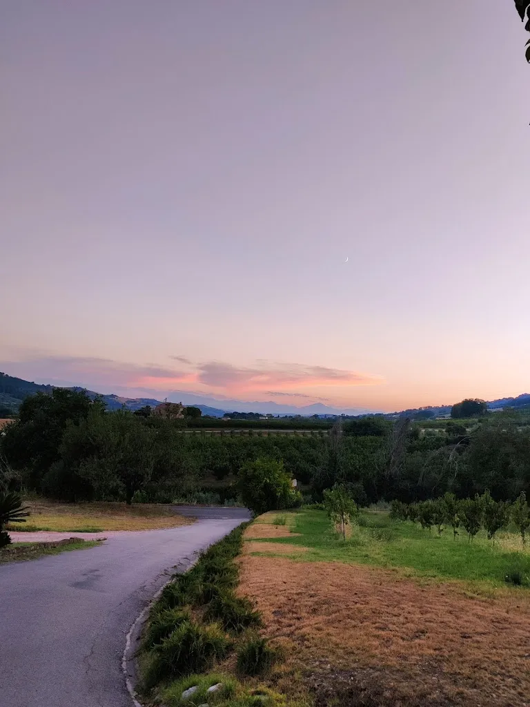 Matteo Bresciani_Casa Vecchia_Lapedona_review