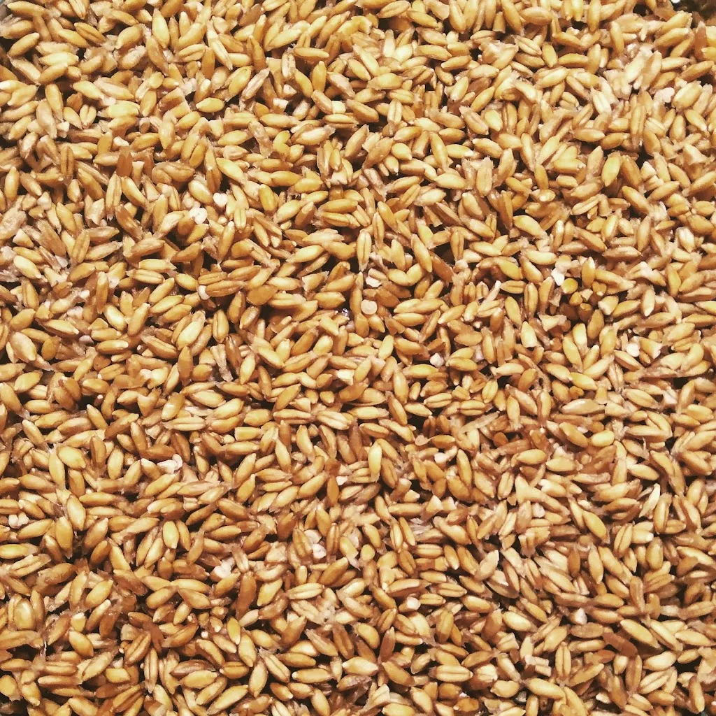 Menu_WokAway_Le Grazie di Ancona_image_7