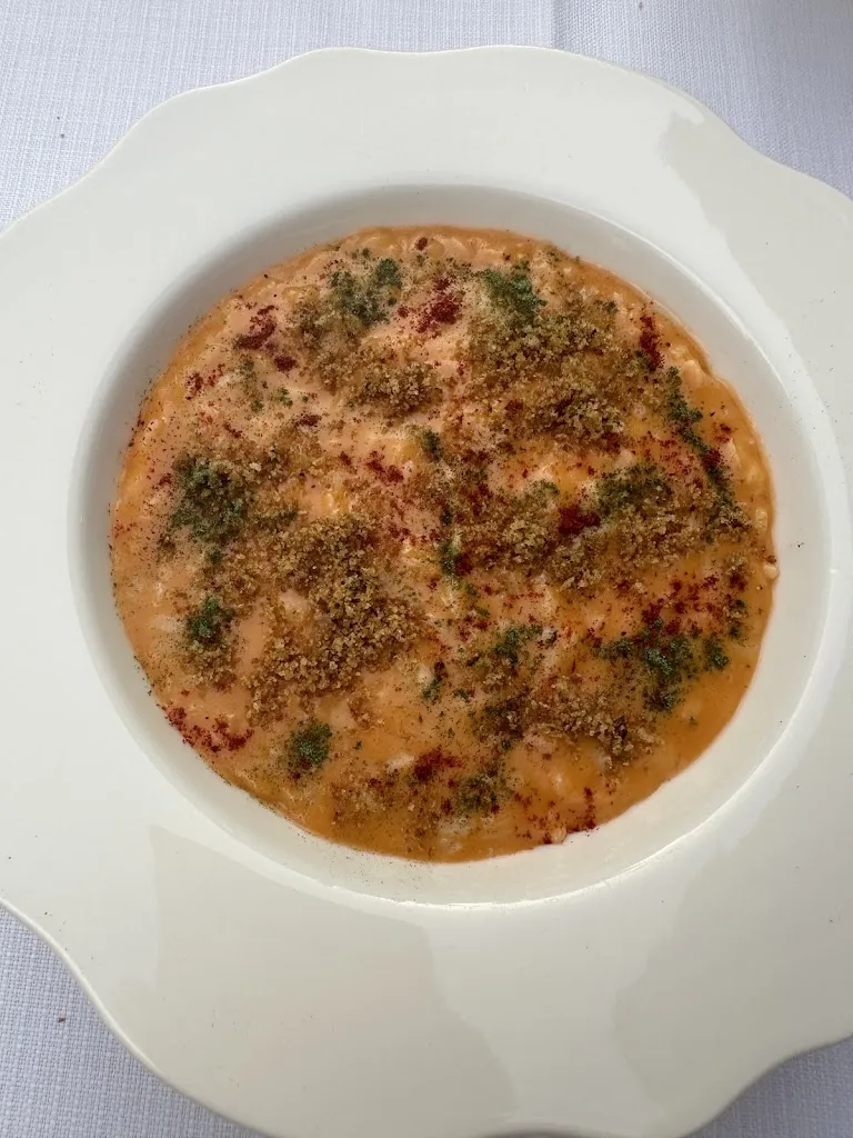 Matthew Lester_MISIDIA_Loro Piceno_review