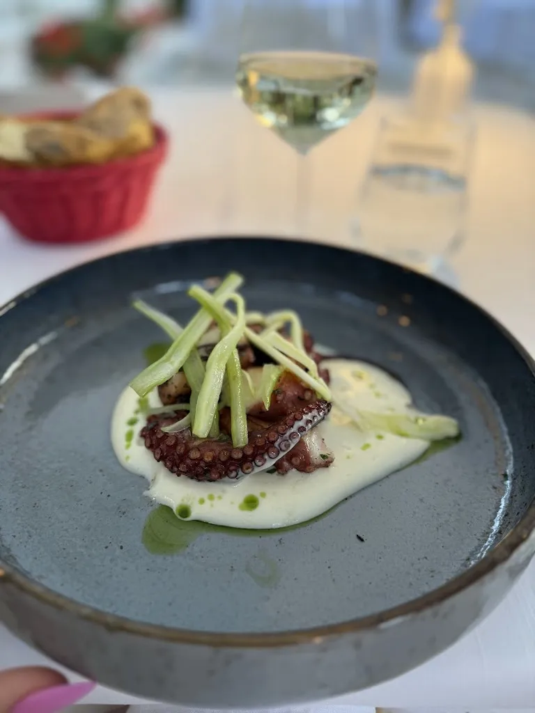 Nataliia Koval_Matisse_Casamassella_review