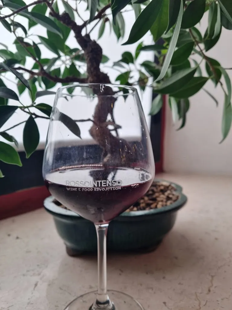 Roy 02_Rossointenso Enoteca Ristorante_Jesi_review