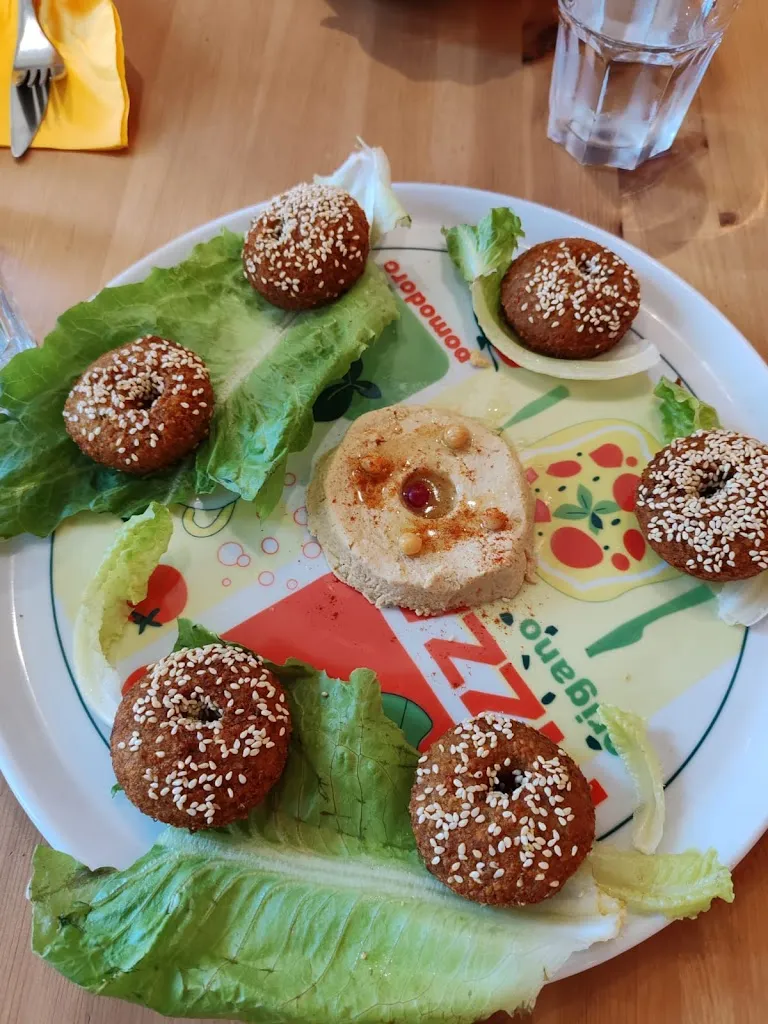 fiorenzo leo_NON SOLO FALAFEL_Jesi_recensione