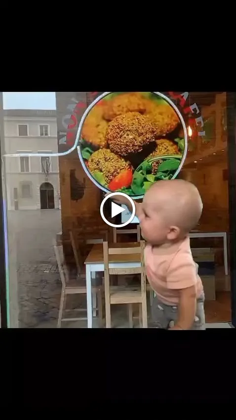 NON SOLO FALAFEL_Jesi_slider_image_2