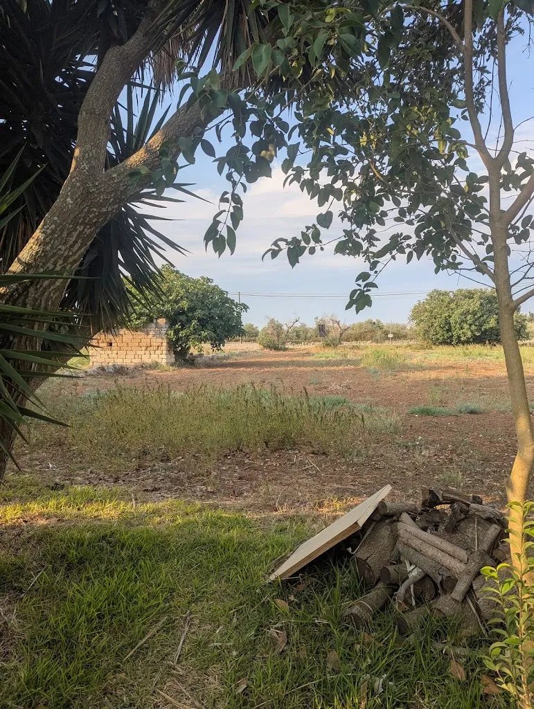 Caroline Donaldson_Agriturismo Le Tagliate_Casamassella_review