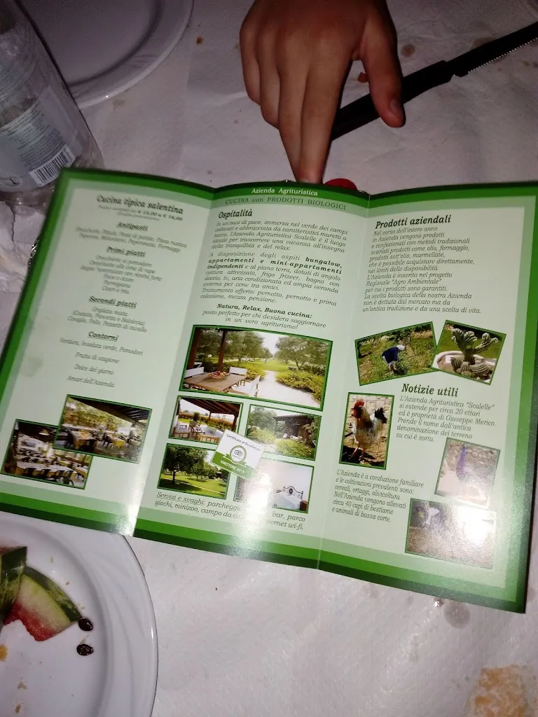 Menu_Agriturismo Scalelle_Casamassella_image_1