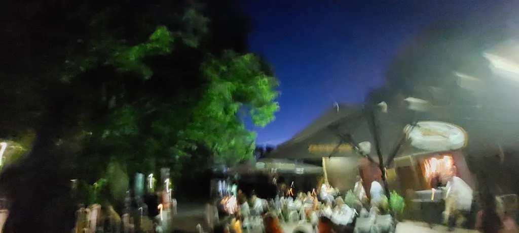 Domenico Di Cola_Museika_Maiolati Spontini_Bewertung