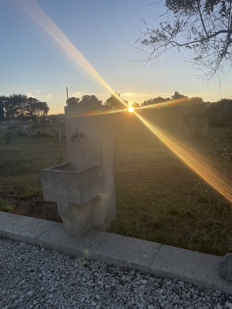 Karol Tercjak_B&B Valle dell'Idro_Casamassella_review