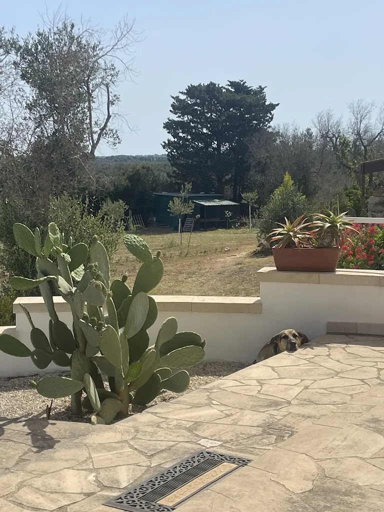 Ola_B&B Valle dell'Idro_Casamassella_review