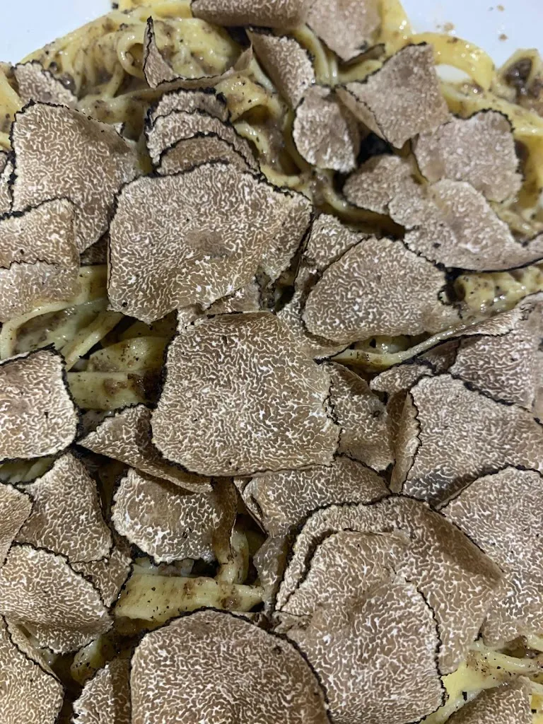 Viola Acciarri_La Sorgente_Massignano_review