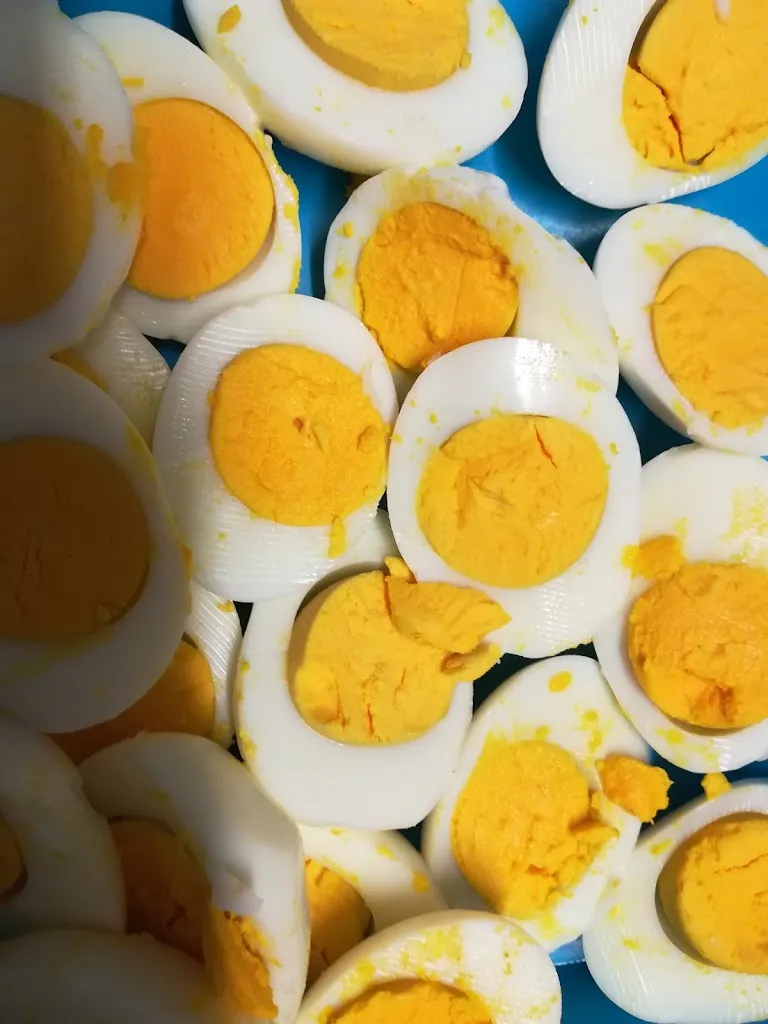 Menu_Hotel Le Palme_Massignano_image_9