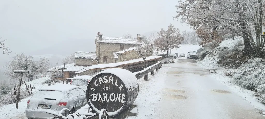 Emanuele Cerilli_Il Casale del Barone_Mercatello sul Metauro_review