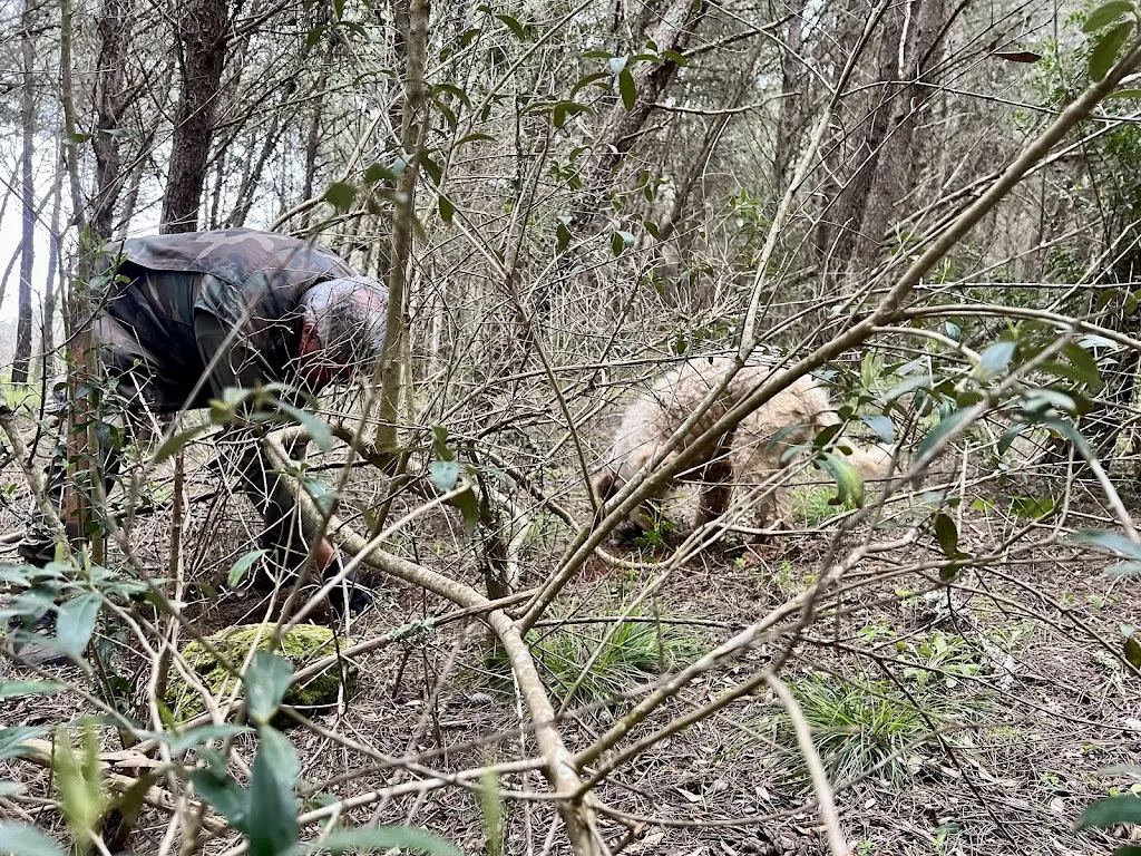 Timothy Ragland_Casa Borgia_Casamassella_review