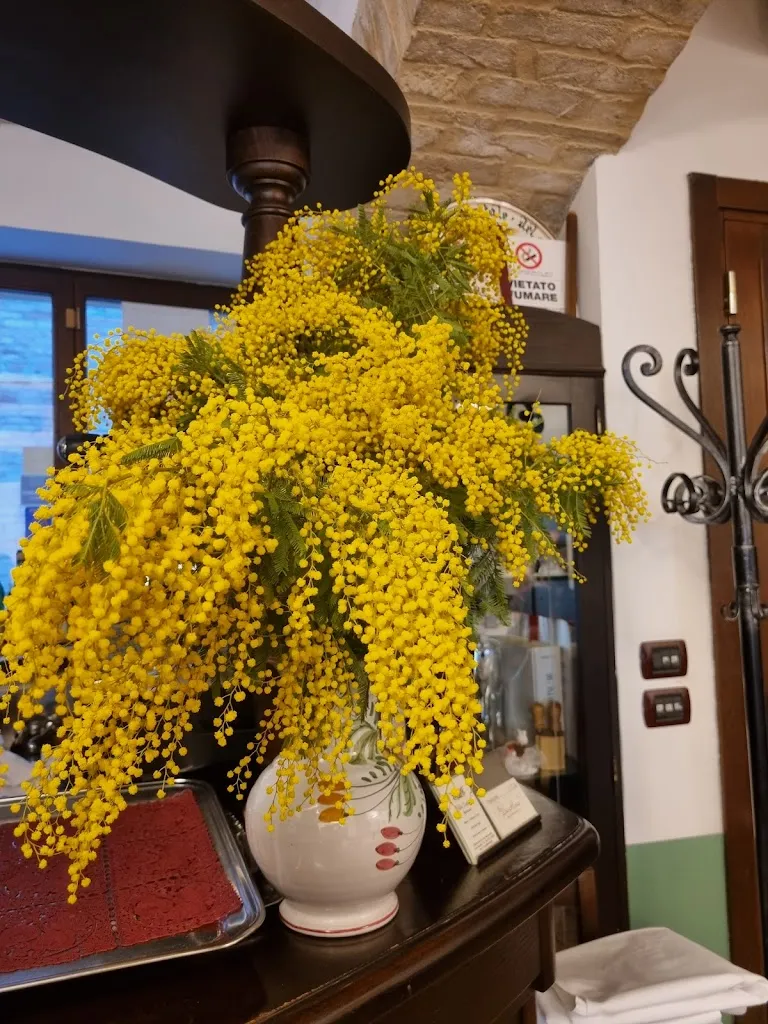 Reuma Nachmias_Da Rosa_Macerata_review