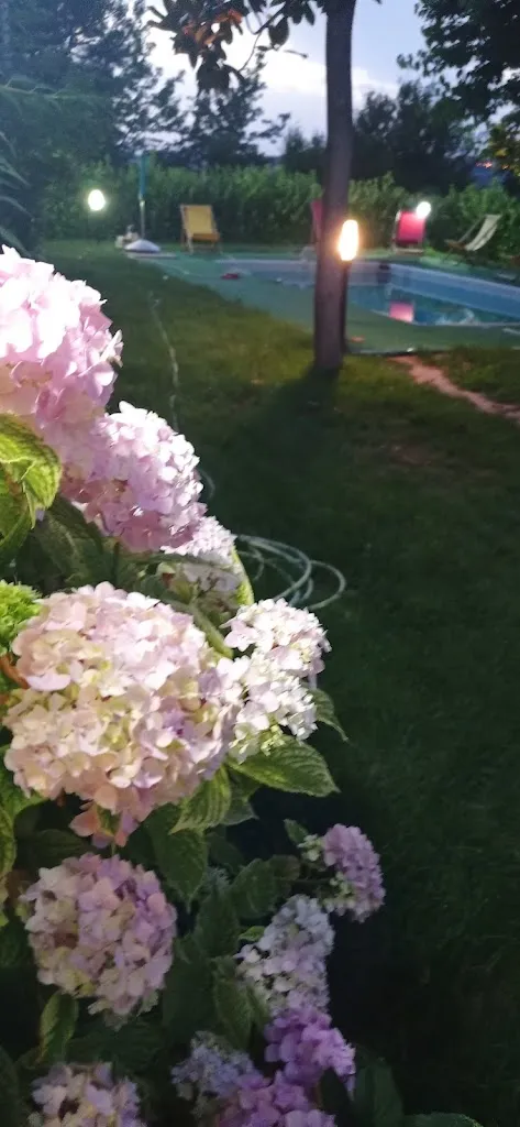 massimiliano dindalini_Ristorante Al Picchio Verde_Monsampietro Morico_review