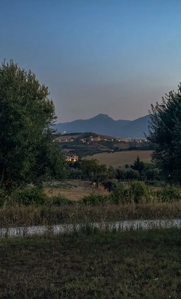 Tom Spoormakers_Valle Cecchina Trattoria_Monsampolo del Tronto_review