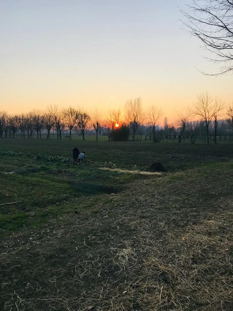 Cristina Toffano_Agriturismo Al Vecio Moraro_Mogliano_review