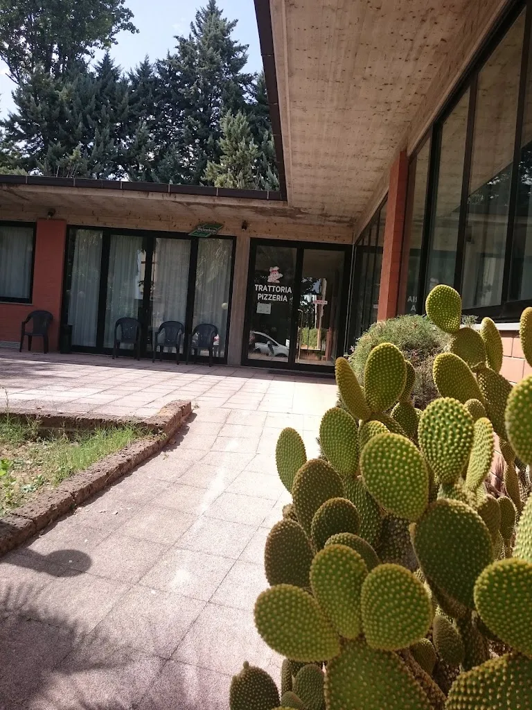 Ercole R._trattoria Cochito_Monte San Pietrangeli_review