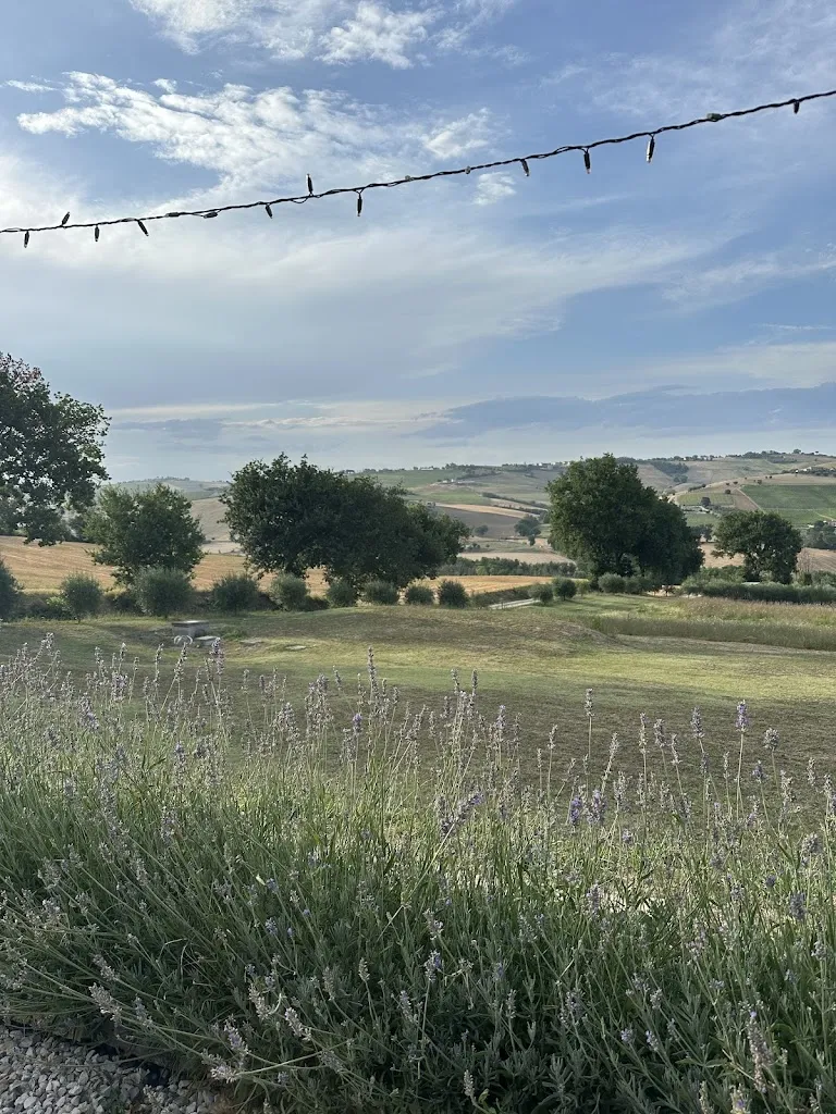 Magdalena Matejczyk_CarloCarla Gastronomic B&B | Restaurant_Monte San Pietrangeli_review