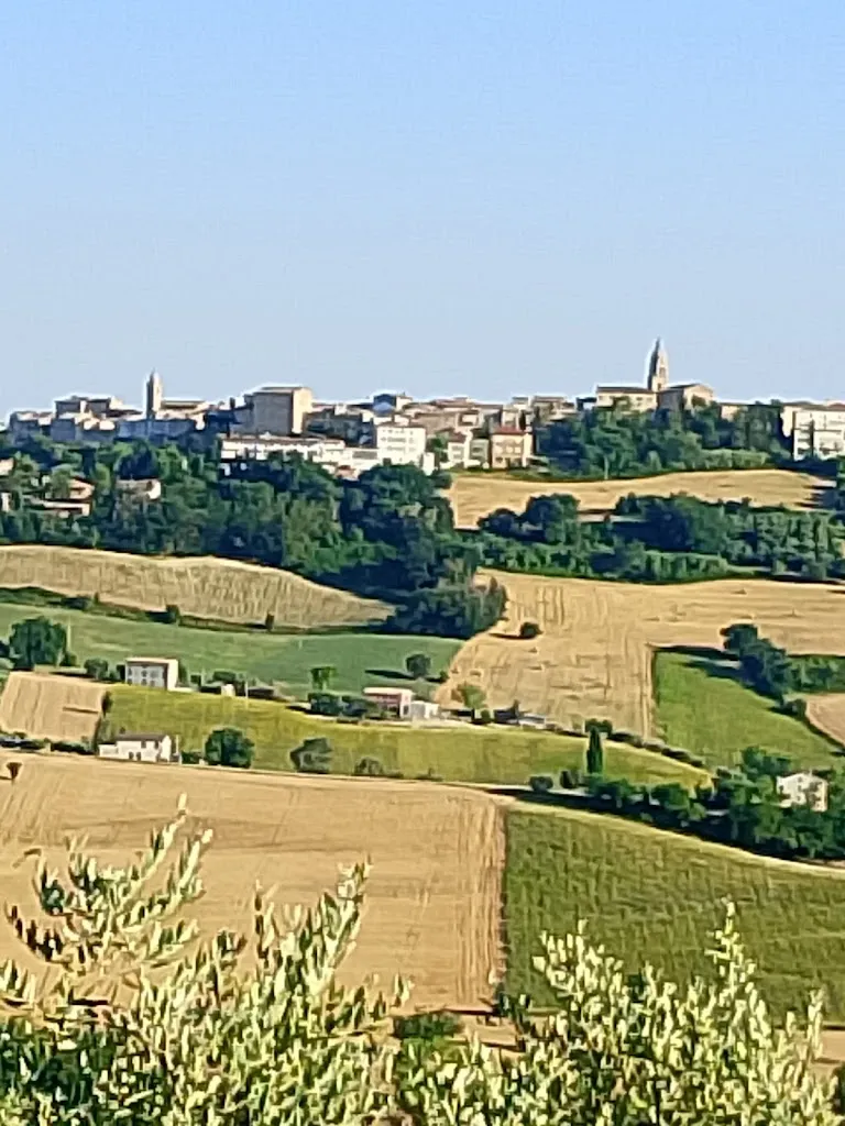 Marcello Benetti_Agriturismo Oasi Belvedere_Monte San Pietrangeli_review