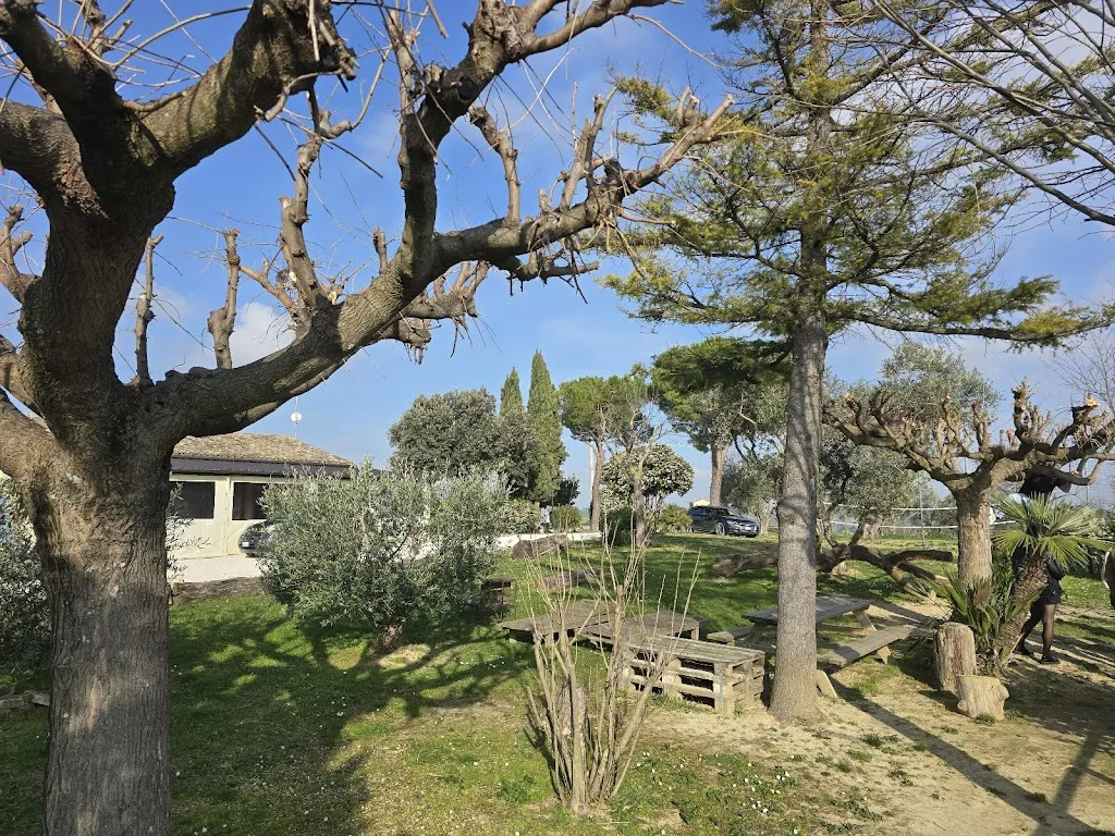 Fabio Farroni_Agriturismo Oasi Belvedere_Monte San Pietrangeli_review