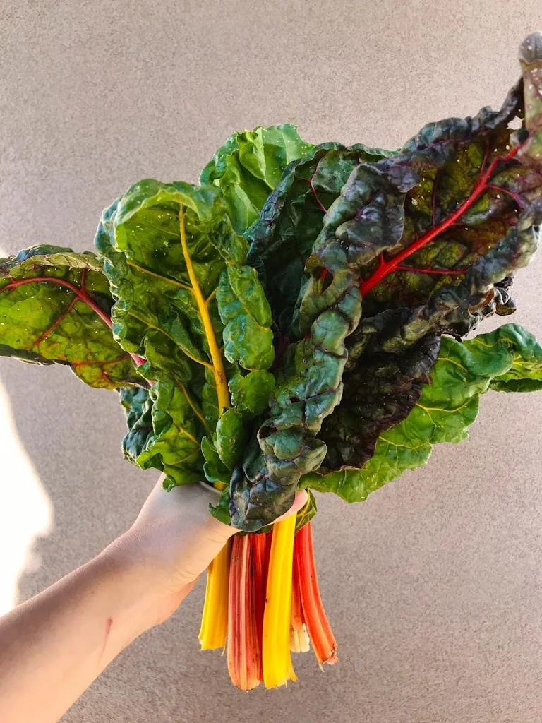 Menu_Lisetta Home Restaurant_Monte San Giusto_image_8