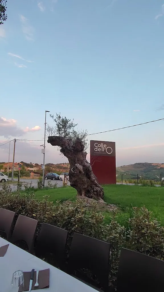 Ristorante Colle dell' O_Montecarotto_slider_image_2