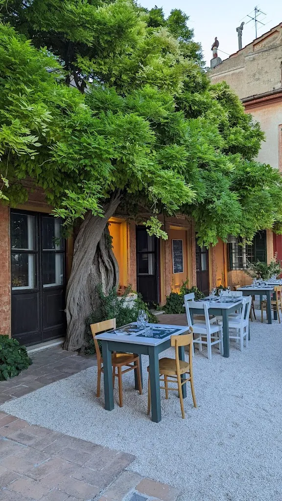 Marco Goran Romano_Osteria Sotto Le Mura_Montecarotto_review