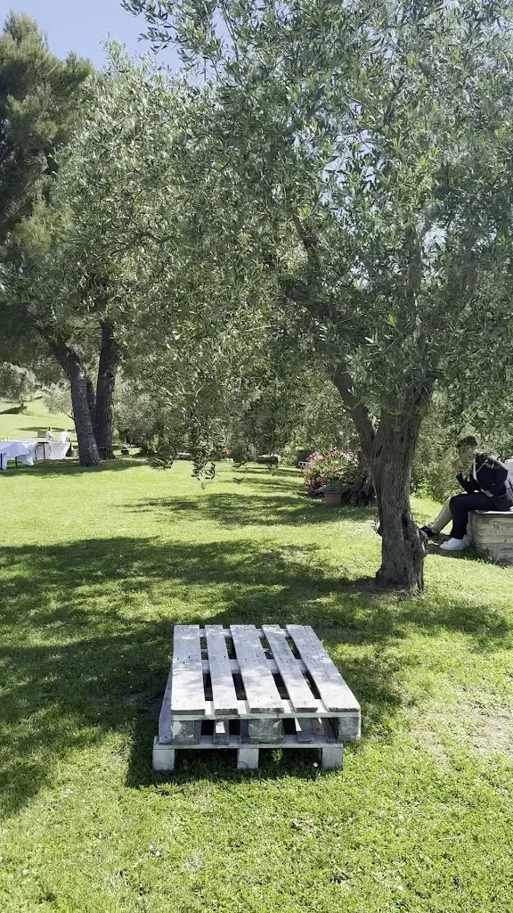 maria cristina montevecchi_Agriturismo F.lli Nobili_Monteciccardo_review