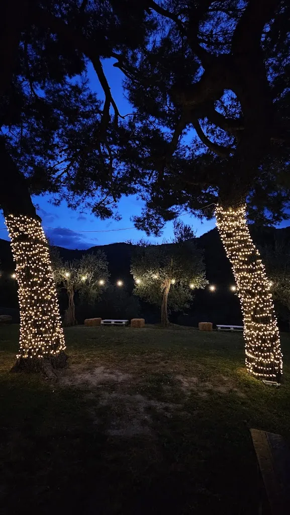 Sharon Cirioni_Agriturismo F.lli Nobili_Monteciccardo_review