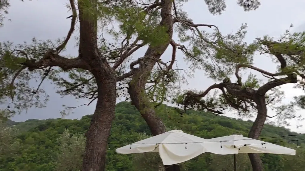 Agriturismo F.lli Nobili_Monteciccardo_slider_image_2