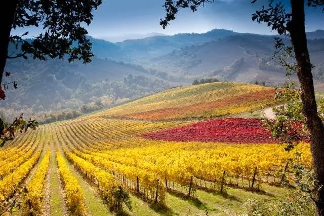 The Convent of Monteciccardo_Monteciccardo_slider_image_3