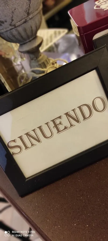 Alessandro Gaudino_Sinuendo_Monte Urano_recensione