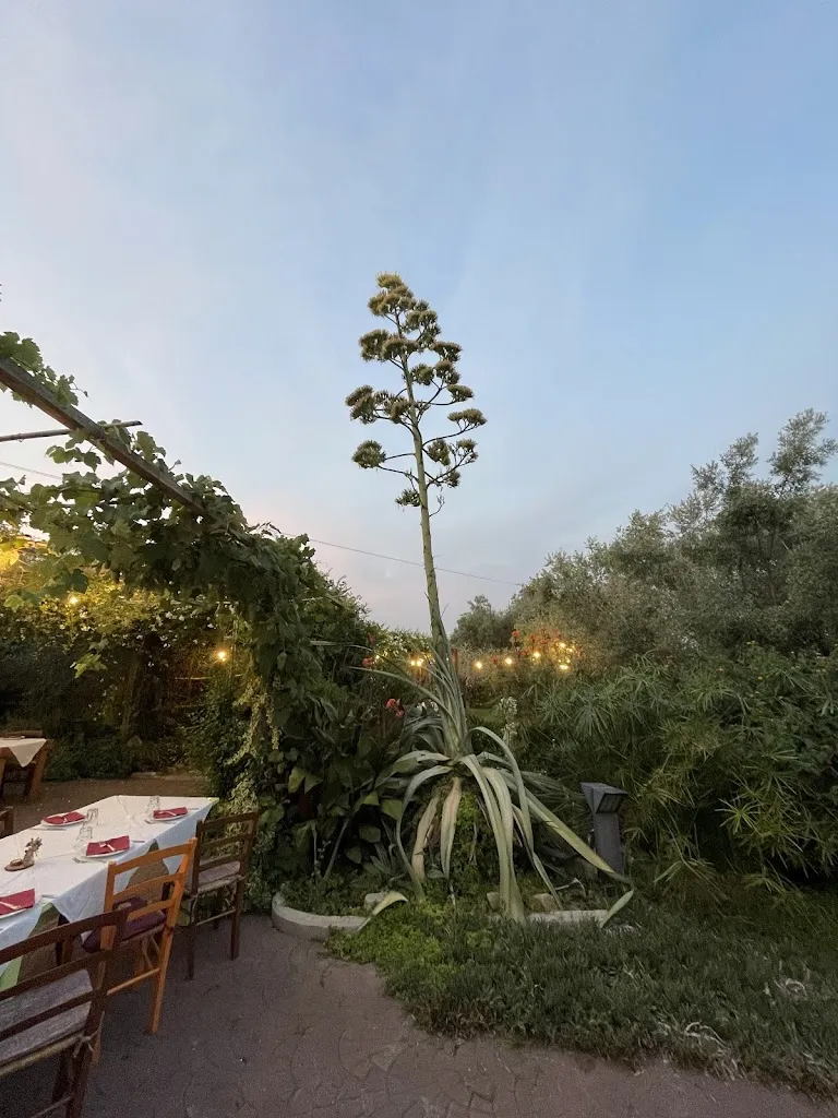 Alessandro Cimadamore_Country House Il Giardino di Mavi_Monte Urano_review