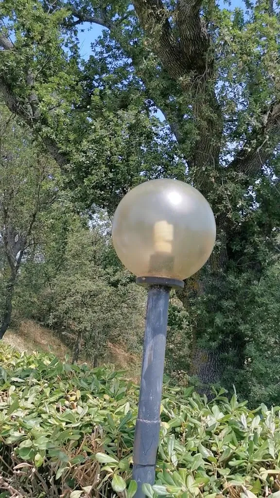 Ristorante Pizzeria La Locanda_Montefelcino_slider_image_2