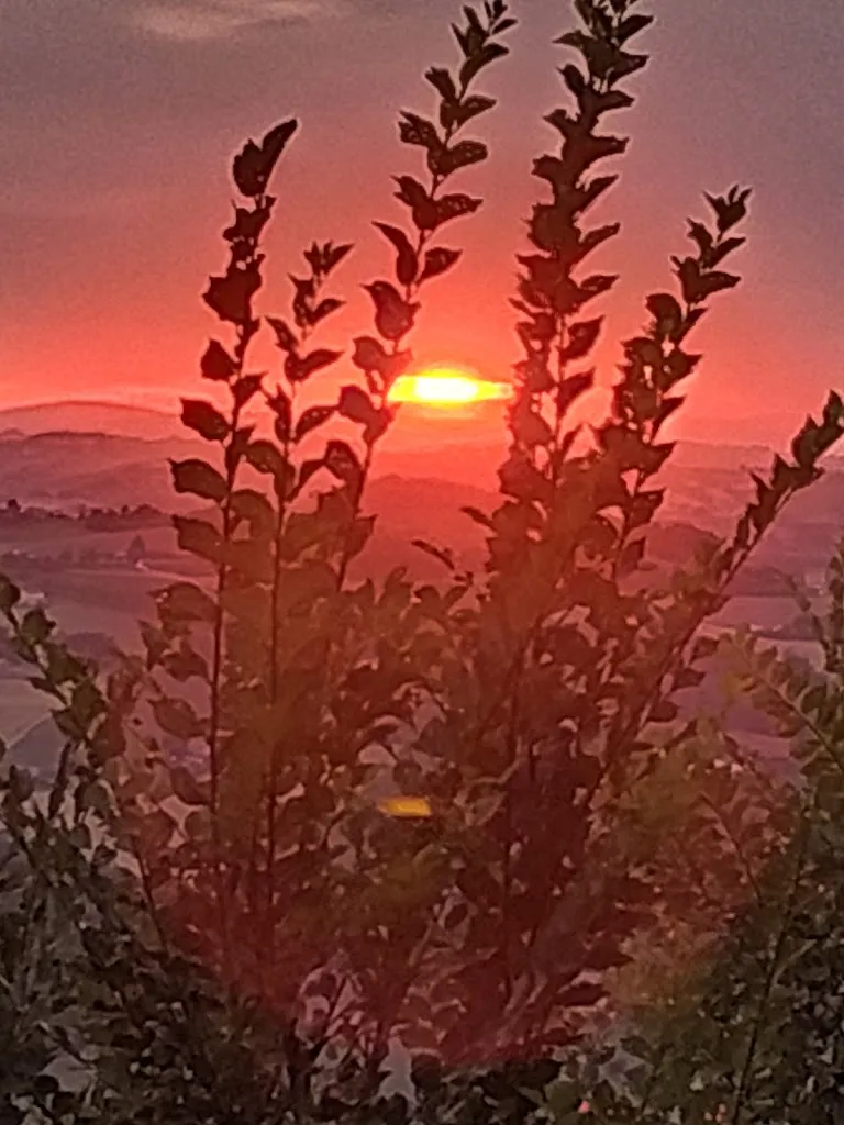 maurizio luciani_Vicolocielo burger | bar | sunset_Monteleone di Fermo_review