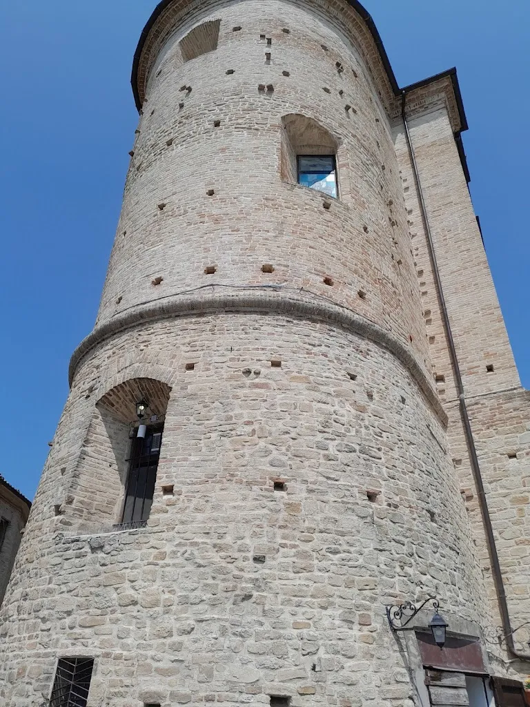 will iam_Diamoci del tu_Montelparo_review