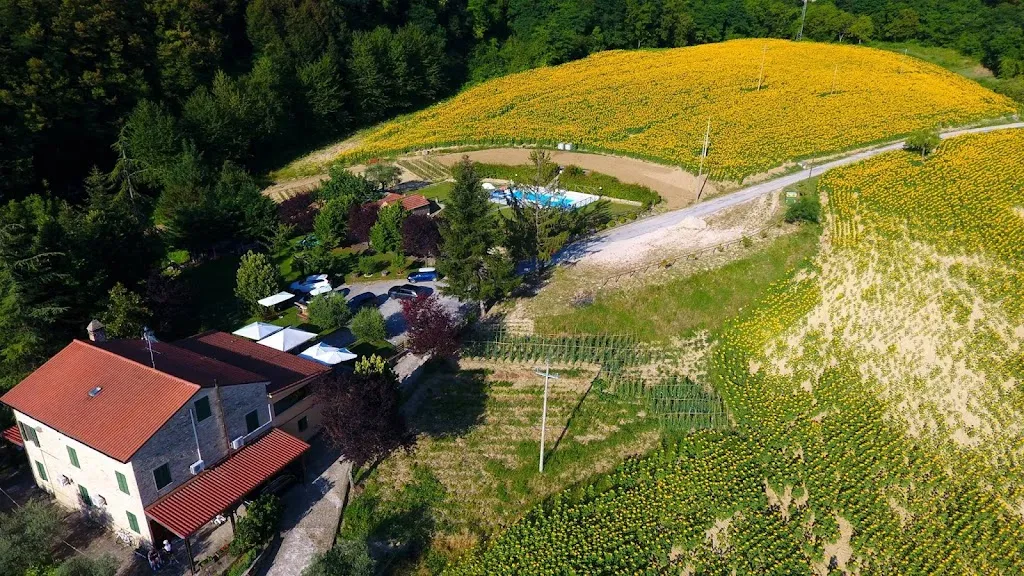 Agriturismo Fonte di S. Andrea restaurant in Montelparo
