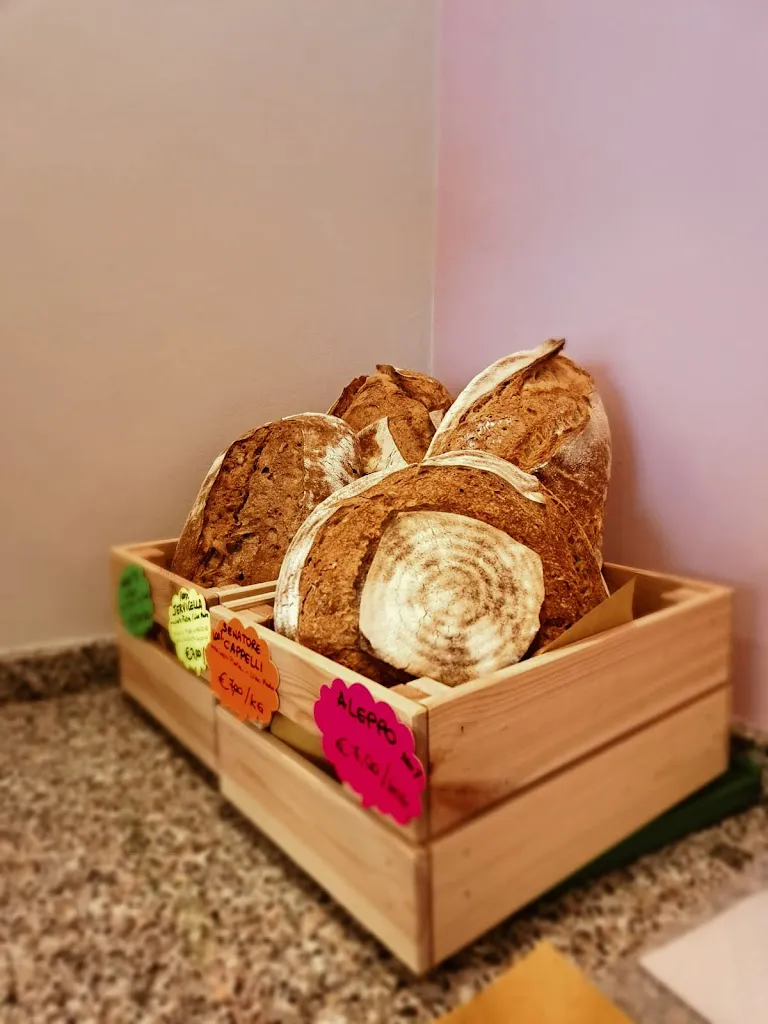 Menu_Pasta e Ciccia_Montegranaro_image_3