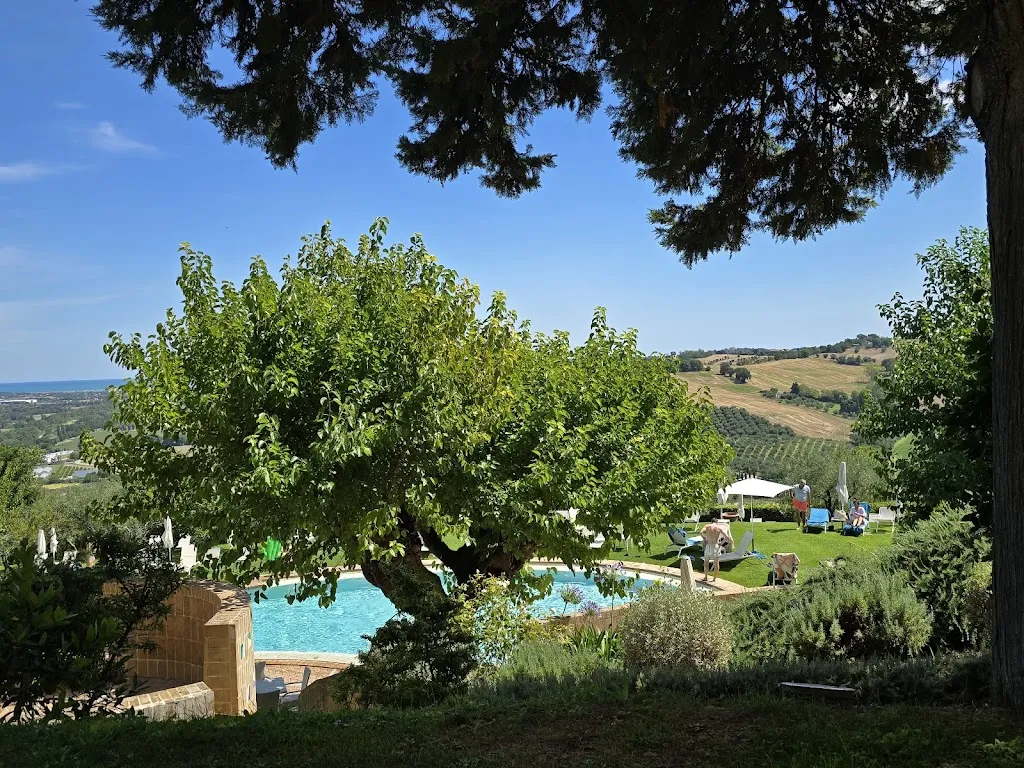 Victor_Castello di Monterado_Monterado_review