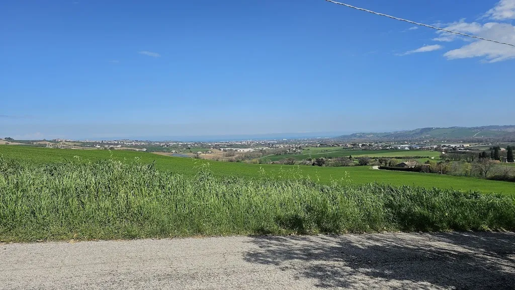 Stefano C_Ristorante Piaggiolino Casa Mia_Monterado_Bewertung