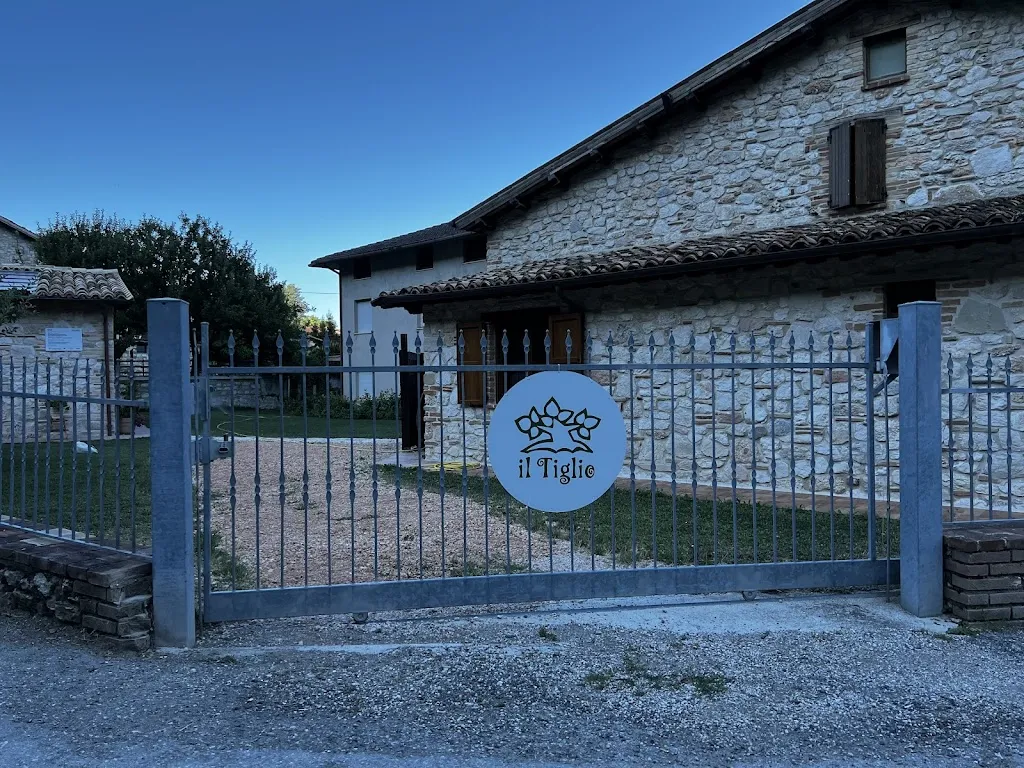 Maciek Sz._Il Tiglio_Montemonaco_review