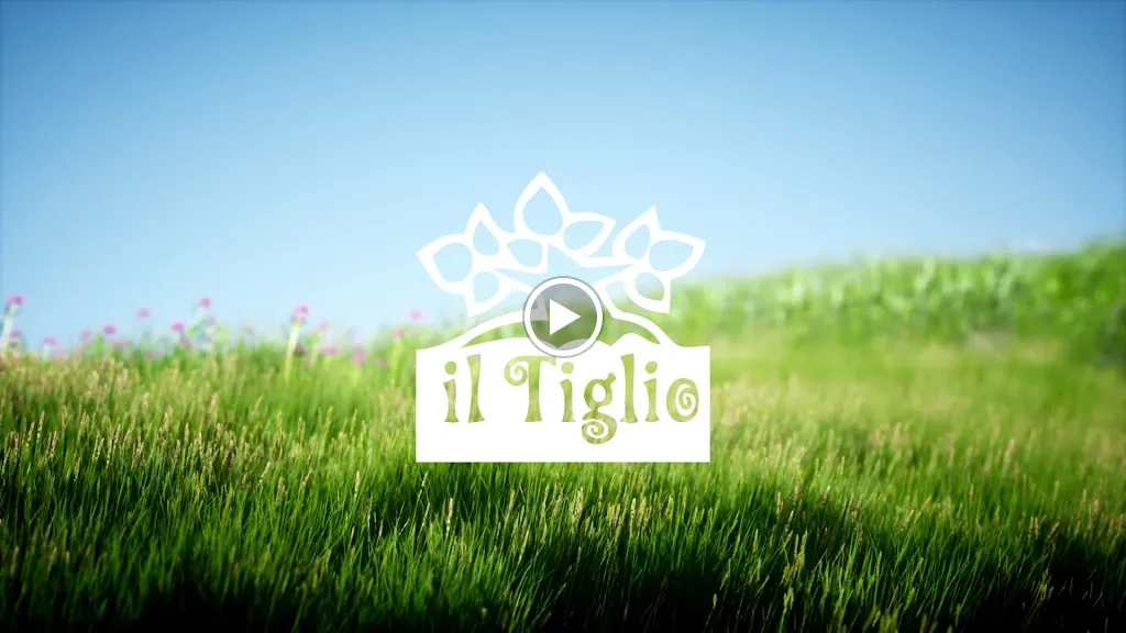 Il Tiglio_Montemonaco_slider_image_2