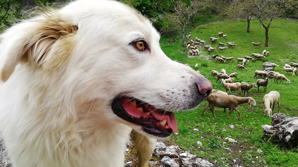 Rifugio Taverna Della Montagna_Montemonaco_slider_image_2