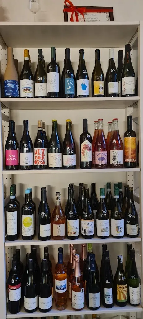 Giorgia Attene_VIN’S_Monterubbiano_review