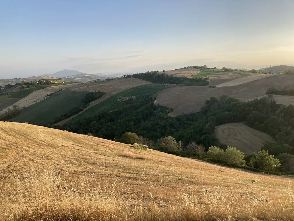 Angelo Angileri_Villa Montotto_Monterubbiano_recensione