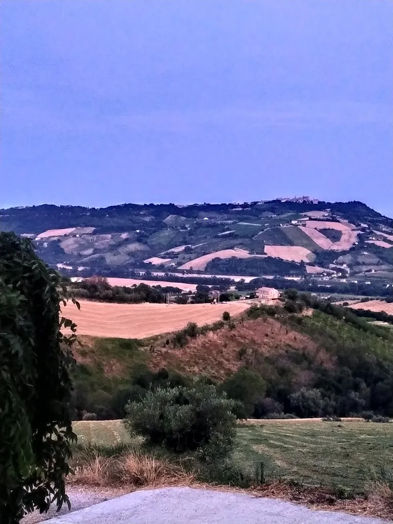 diletta parrino_Azienda Agricola Grifi Sergio_Monterubbiano_review