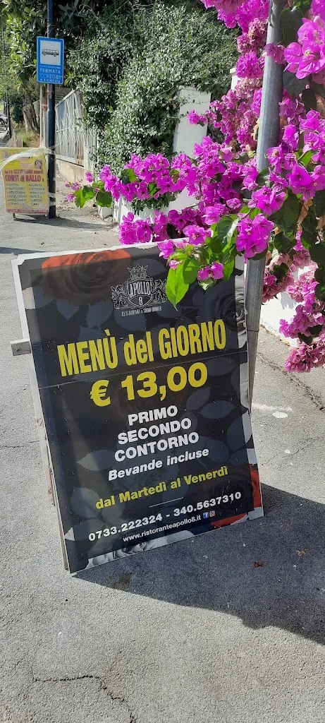 Valenico Valematti_Ristorante Pizzeria Apollo 8_Morrovalle_review