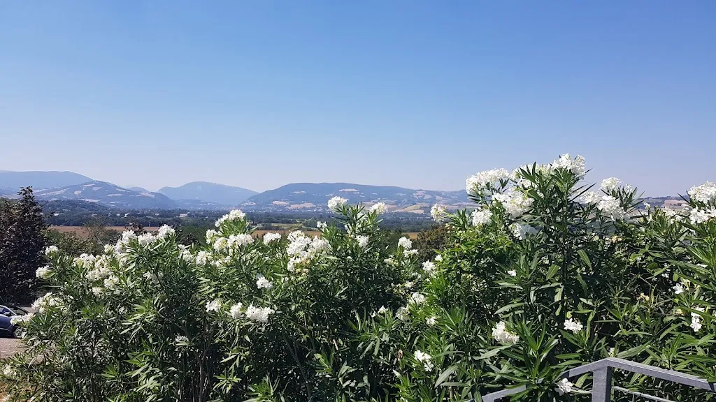 Giovanni Scopece_Ristorante Tris_Orciano di Pesaro_review